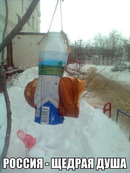 россия ЩЕДРАП дУШд