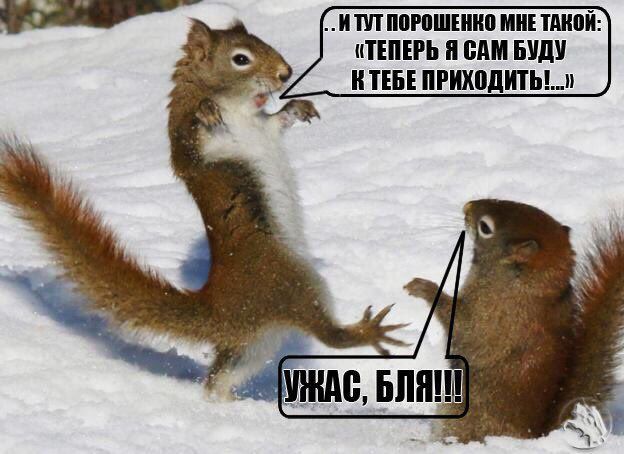 иппппгпшшио мишкой ТЕПЕРЬ БАМ БУДУ и ТЕБЕ ПРИХПДИТЬЬЩ