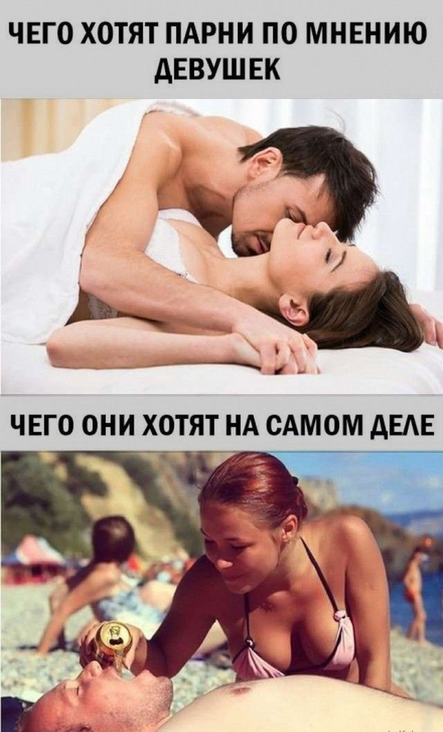 ЧЕГО ХОТЯТ ПАРНИ ПО МНЕНИЮ дЕВУШ ЕК
