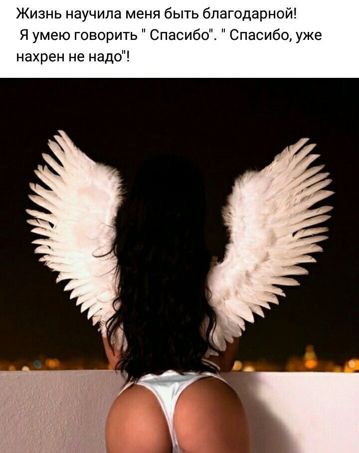 Жизнь научила меня быть благодарной Я умею говорить Спасибо Спасибо уже нахрен не надо