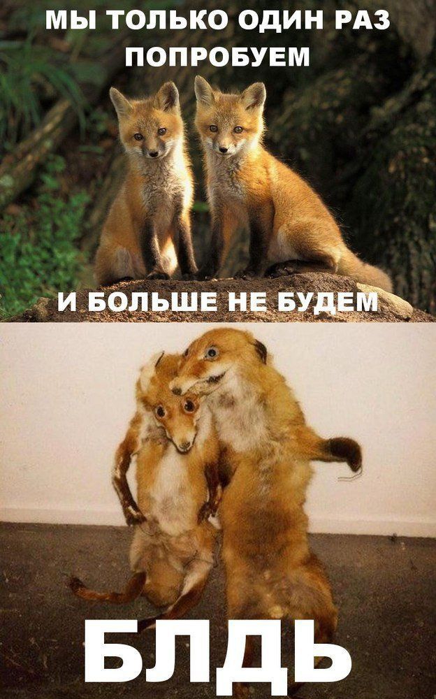 МЫ ТОЛЬКО ОДИН РАЗ ПОПРОБУЕМ