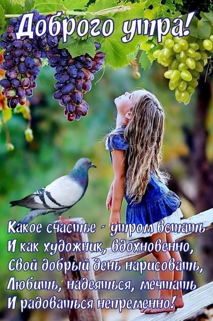 Какое са с