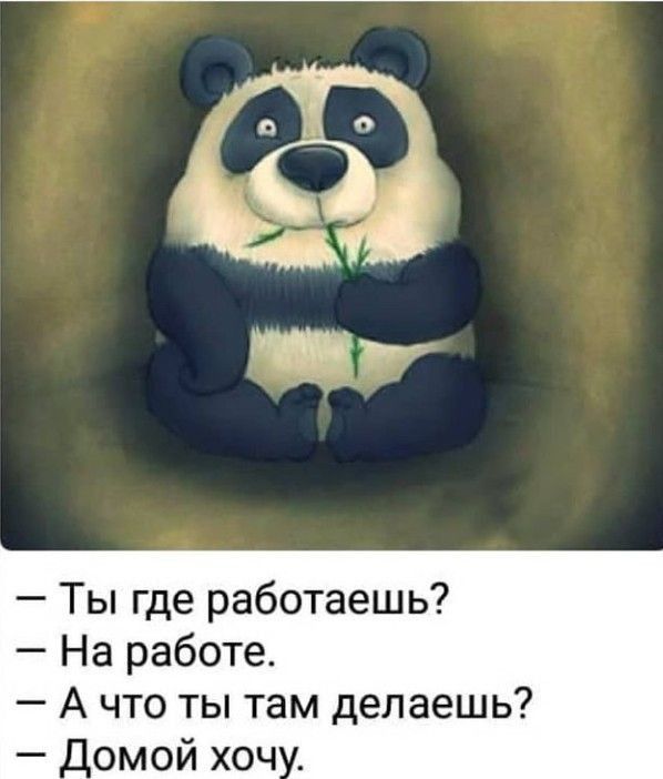 Ты где работаешь На работе А что ты там делаешь