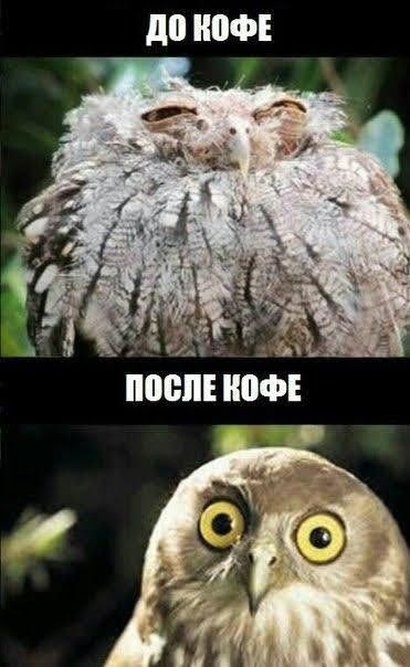 до ЮФЕ а пошивф