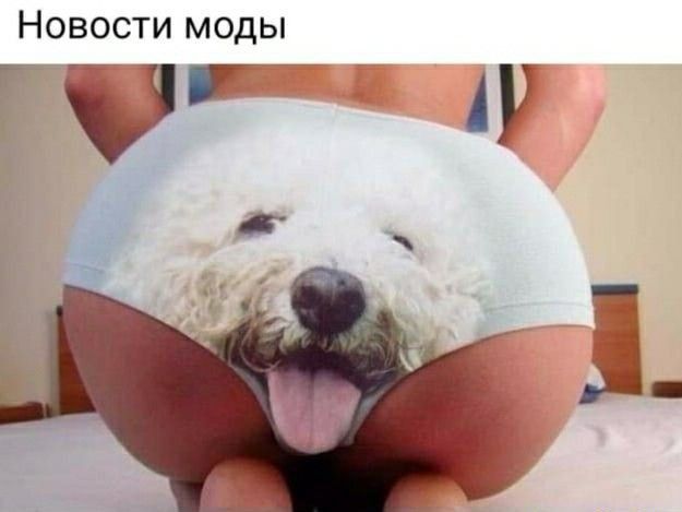 Новости моды Г БГ АУ
