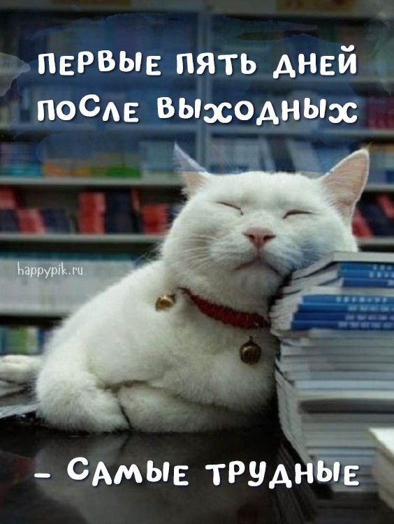 первые пять дней после выходных