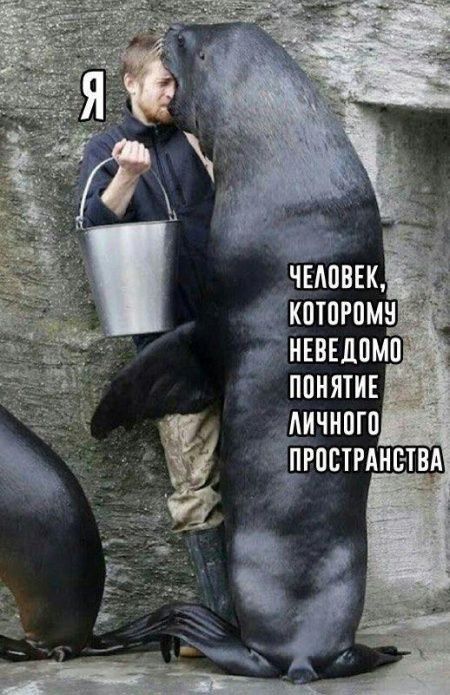 ппнятиъ дичнпго