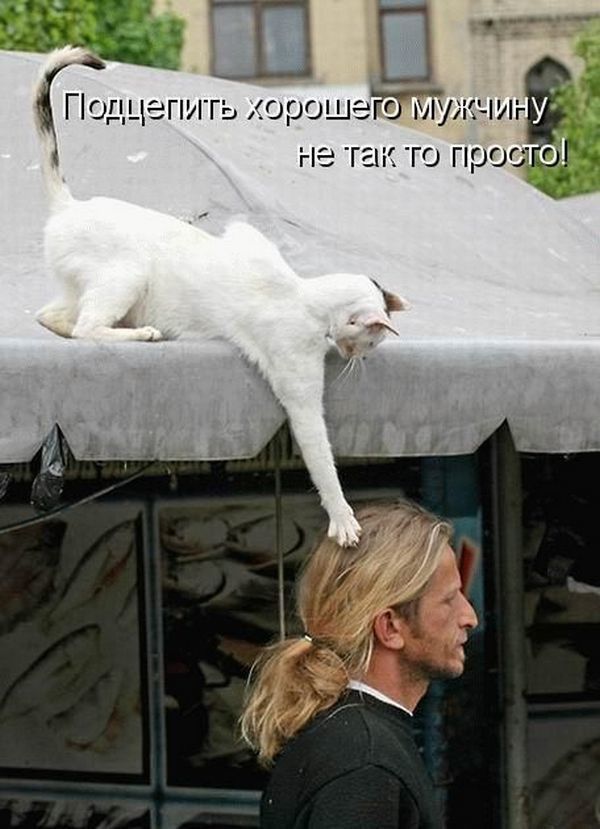 Порн меги гь кореш эт м жчлг