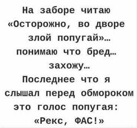 На заборе читаю Осторожно во дворе зпой попугай понимаю что бред захожу Последнее что я слышал перед обмороком это голос попугая Рекс ФАС