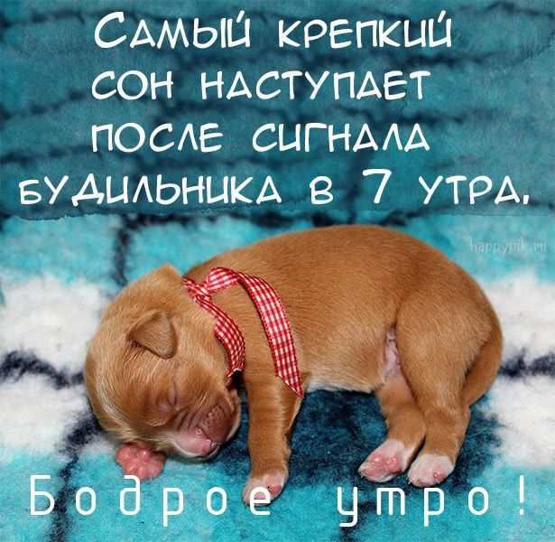 САМЫЦ крепки сон НАСТУПАЕТ _ поста СЦГНААА БУАЦАЬНЦКА 7 утрА бдд