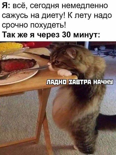 Я всё сегодня немедленно сажусь на диету К пету надо срочно похудеть Так же я через 30 минут и _ _ь ть МНП ЗПЁТРП НПЧНН ті