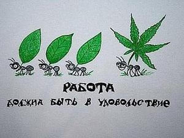 РАБОТА дарил выть В уьэводютвие