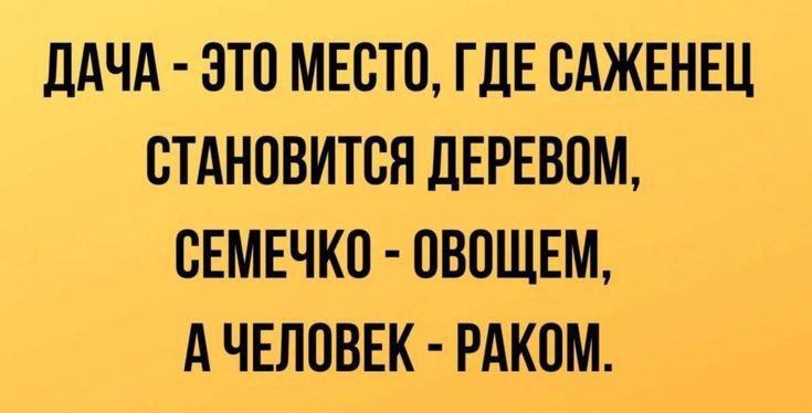 ДАЧА ЭТО МЕСТО ГДЕ САЖЕНЕЦ СТАНОВИТСЯ ЦЕРЕВПМ ВЕМЕЧКО ОВОЩЕМ А ЧЕЛОВЕК РАКОМ