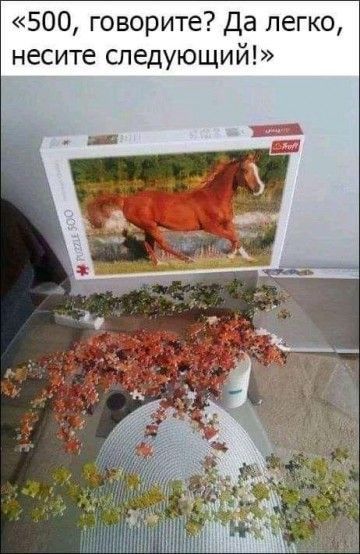 500 говорите Да легко несите следующий