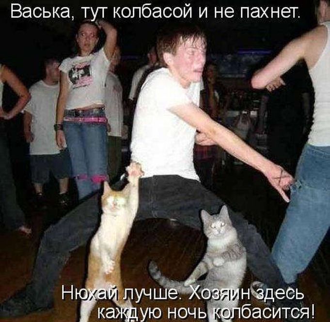 Васька тут колбасой и не пахнет