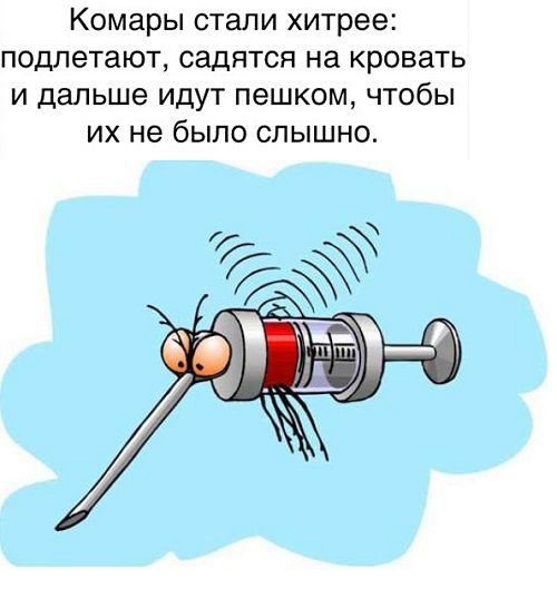 Комары стали хитрее подпетают садятся на кровать и дальше идут пешком чтобы их не было слышно
