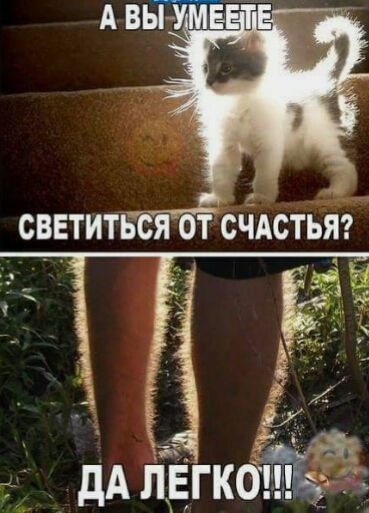 __ Ё _ дА пвгкош