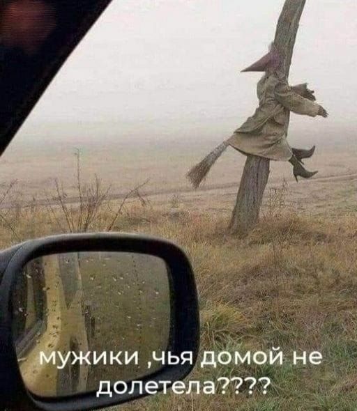 мужики чья домой не долетела
