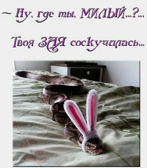 22 ты ЛЬЙь2и 03 ёё сдедуттасш