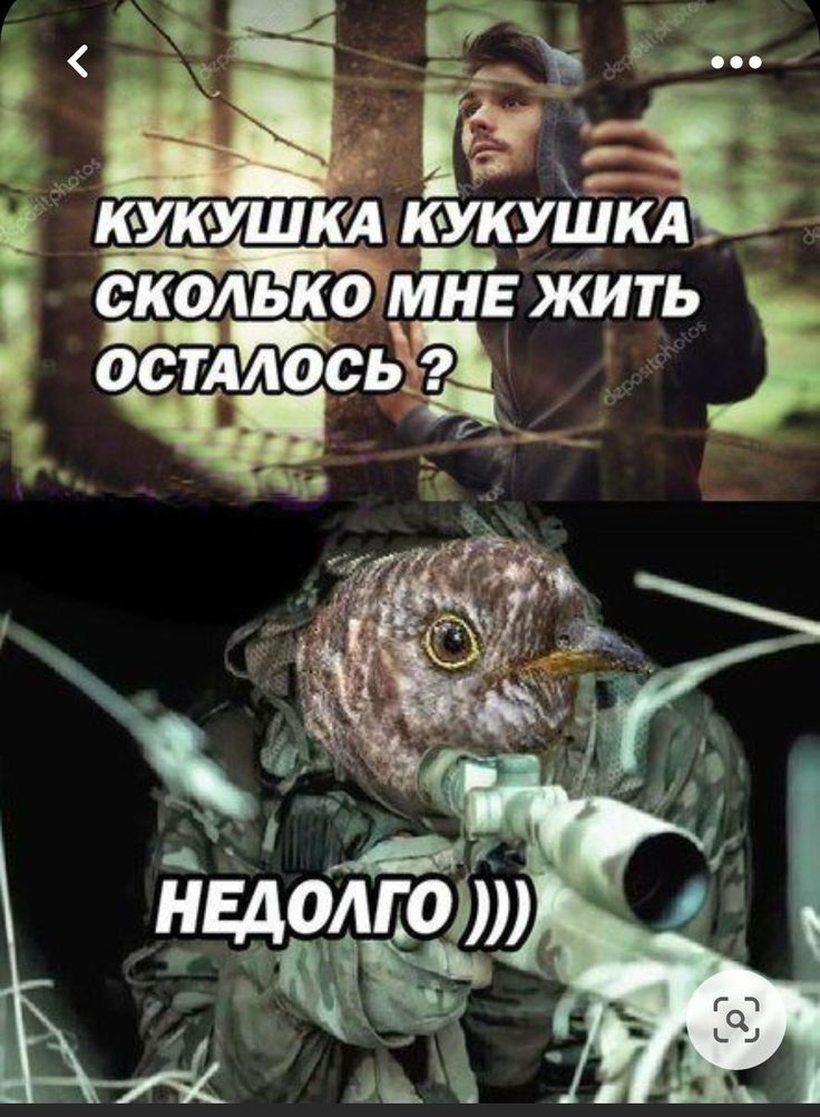 йщдггоб ЁЁ ьі