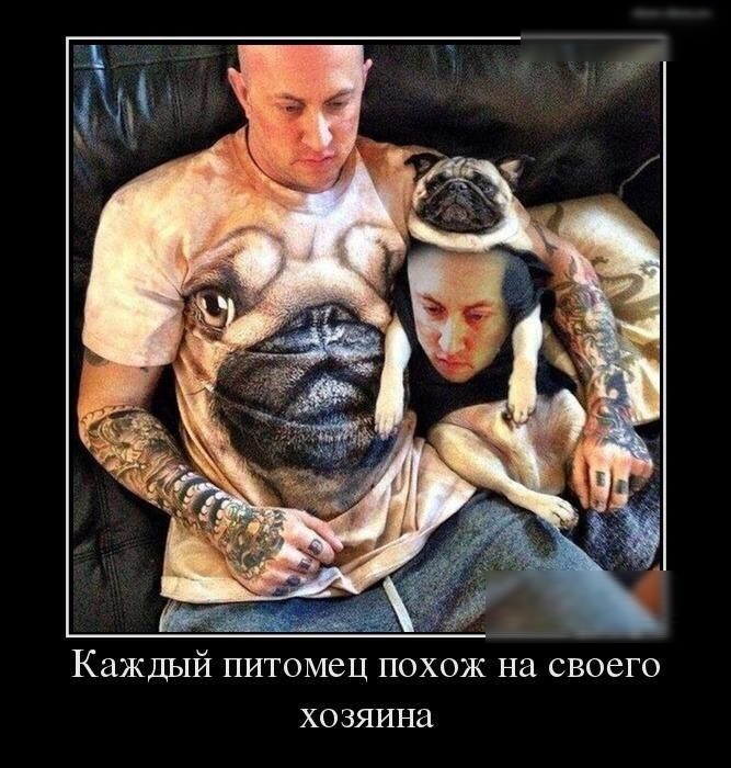 Каждыи питомец пахож на своего хозяина