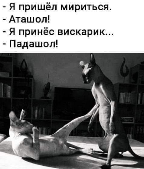 Я пришёл мириться Аташоп Я принёс вискарик Падашол