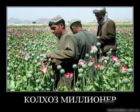 КОЛХОЗ МИЛТШОЁПТ