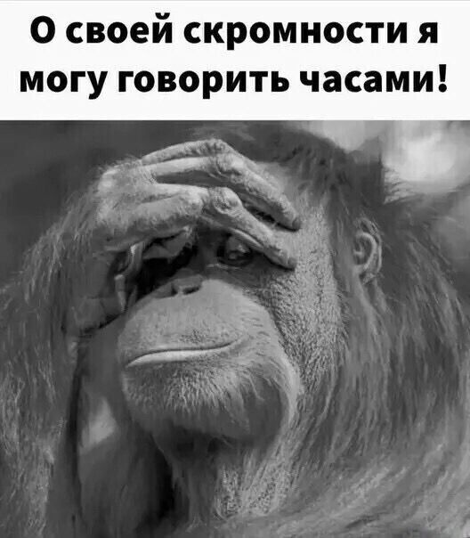 О своей скромности я могу говорить часами