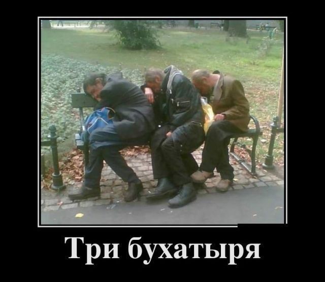 Три бухатыря