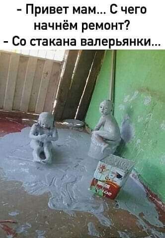 Привет мам С чего начнём ремонт Со стакана валерьянки