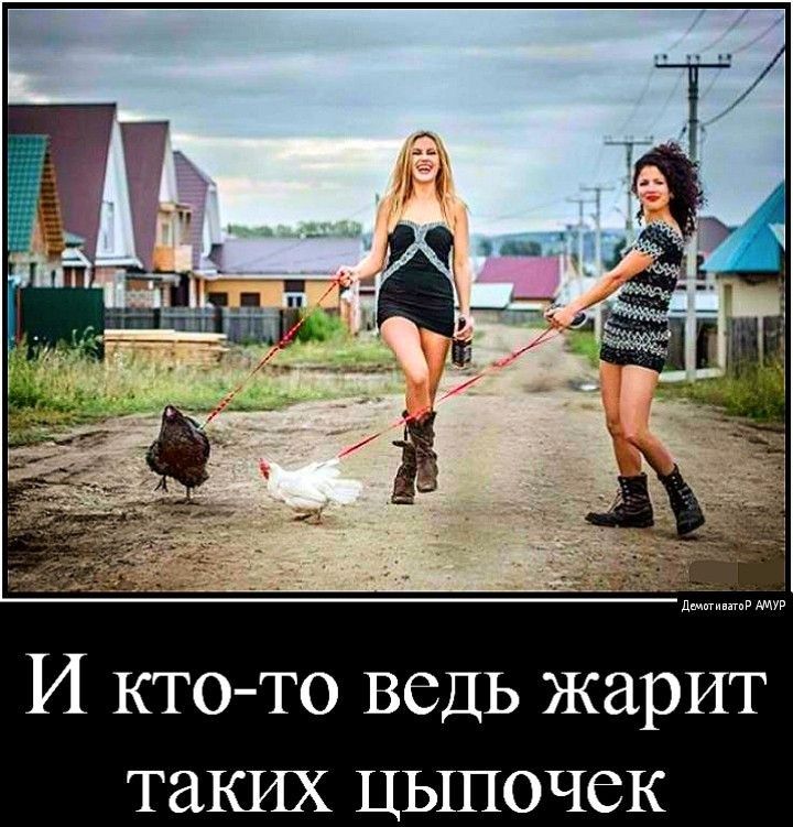 И КТО ТО ВСДЬ жарит таких ЦЬШОЧСК