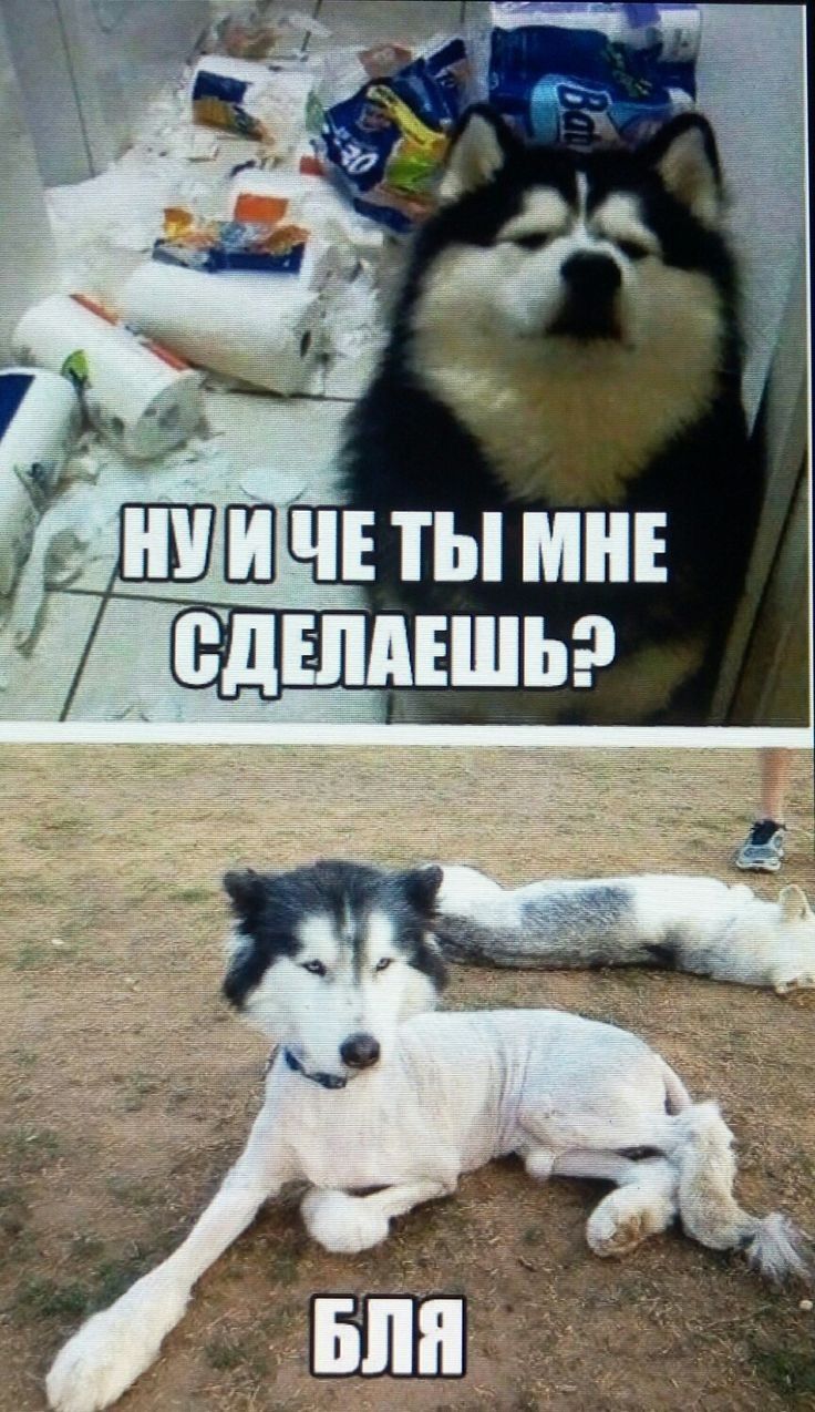 ой і У НУИЧЕ ТЫ МНЕ Э СДЕЛАЕШЬ