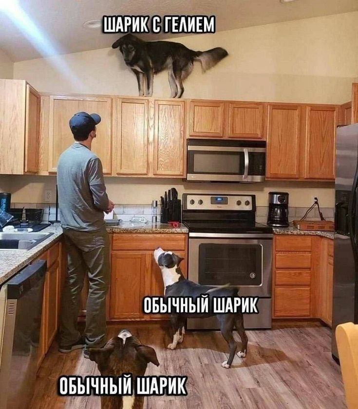 Ф пвычиыйшдг