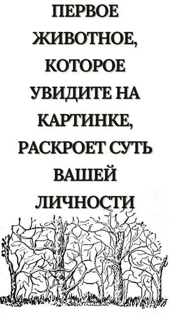 ПЕРВОЕ яшвотнов КОТОРОЕ увидитв НА КАРТИНКЕ РАСКРОЕТ суть