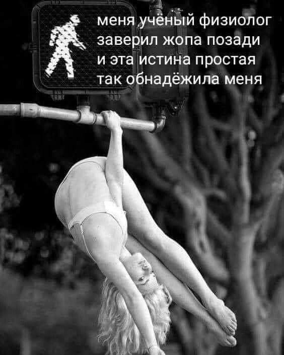 а меня учёнБій физиопог заверил жопа позади и эта истина простая так обнадёжипв меня