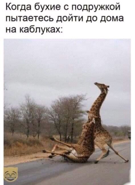 Когда бухие с подружкой пытаетесь дойти до дома на каблуках