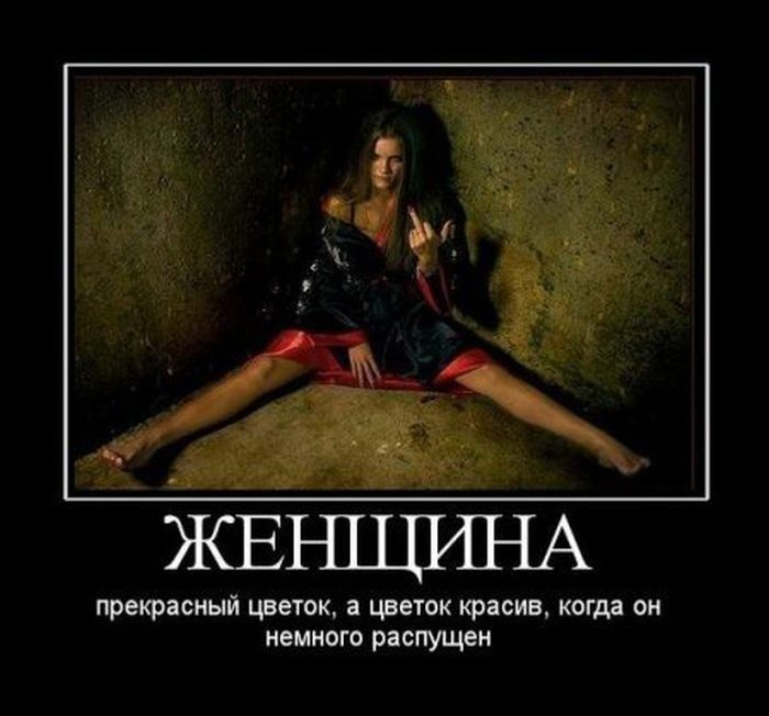 тяжи шыш цвнпж шим тд ои мишка рипущеи