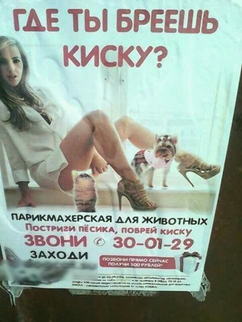 ПАРЖМАХЕРСКАЯ ААЯ жив НЫХ Посты