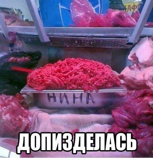 тить Л хп