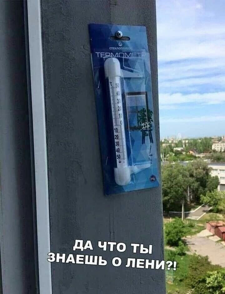 ДА ЧТО ТЫ НАЕШЬ О ЛЕН