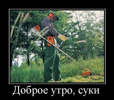 а _ Доброе утро суки