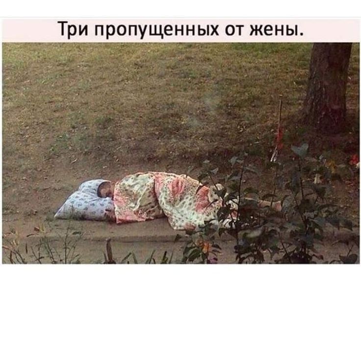 Три пропущенных от жены
