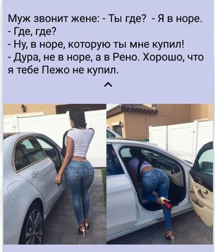 Муж звонит жене Ты где Я в норе Где где Ну в норе которую ты мне купил дура не в норе а в Рено Хорошо что я тебе Пежо не купил