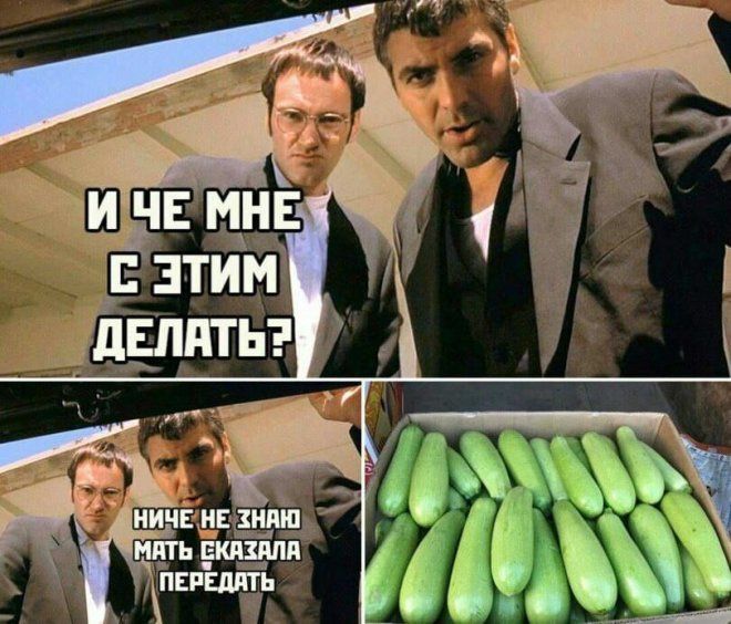 Ш ч мн ватин _фдьт