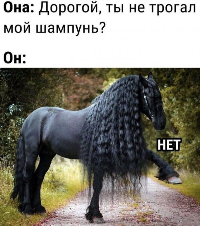 Она Дорогой ты не трогал мой шампунь Он