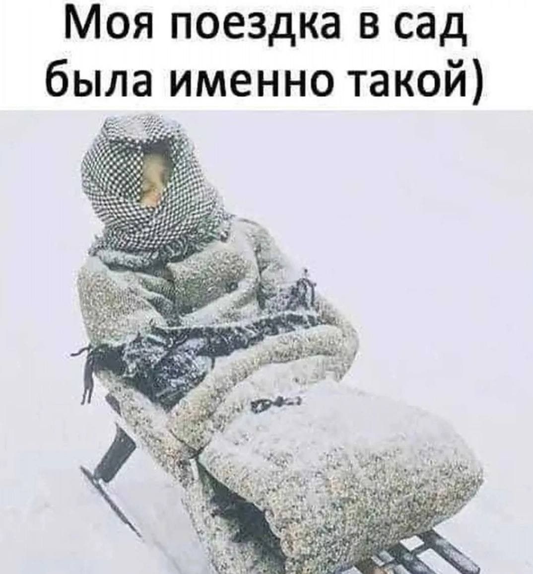 Моя поездка в сад была именно такой