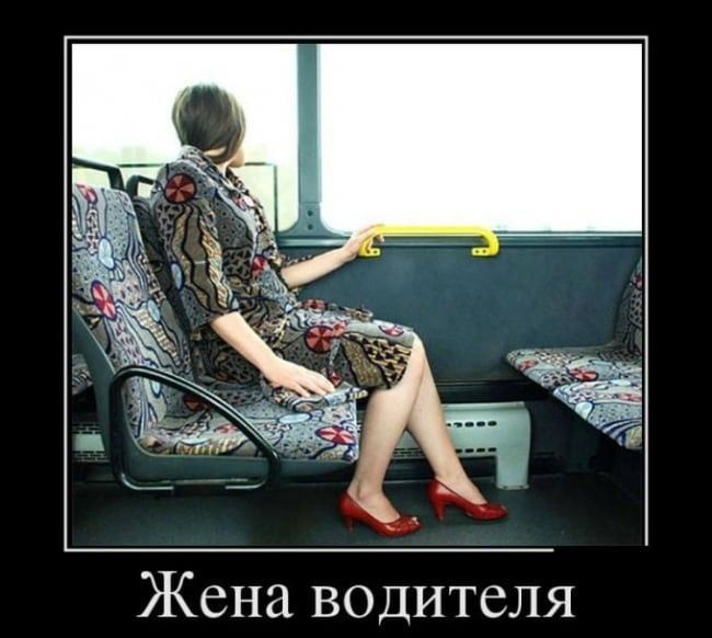 Жена водителя