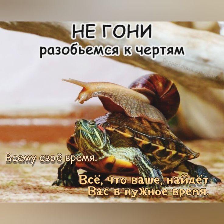 гони разобьет к чертям