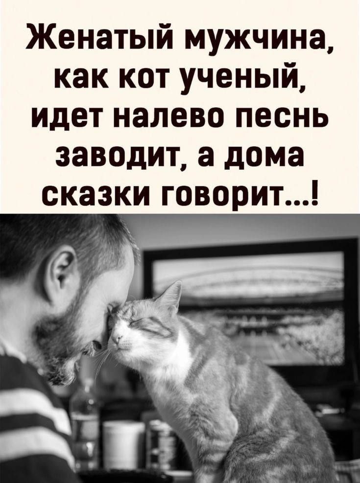 Женатый мужчина как кот ученый идет налево песнь заводит а дома сказки говорит