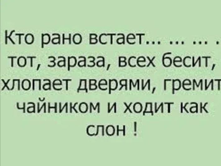 Кто рано встает тот зараза всех бесит хлопает дверями гремит чайником и ходит как слон